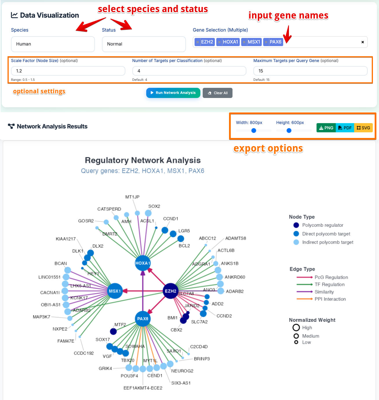 Network Analysis Interface