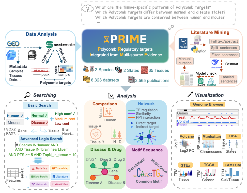 Platform Architecture
